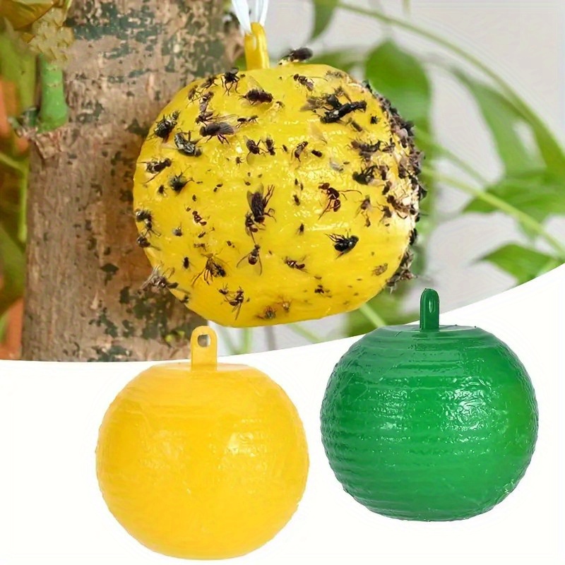 Cute Ball Design Sticky Traps: Capture Fruit Flies - Temu