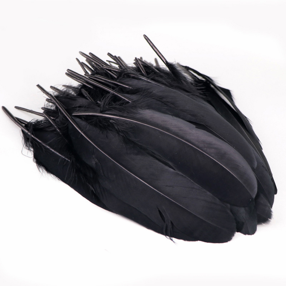 Piume decorative piume di uccelli nere per la lavorazione  14-17 cm 20 g-04148