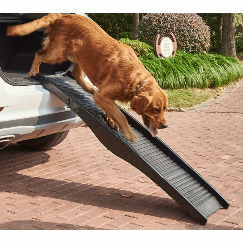 Rampe pour chien, rampe pour animaux de compagnie, rampe portable