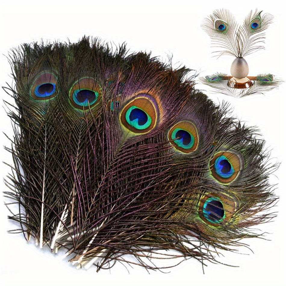 Lot Natural Peacock Feathers For Diy Craft Wedding Holiday - Temu