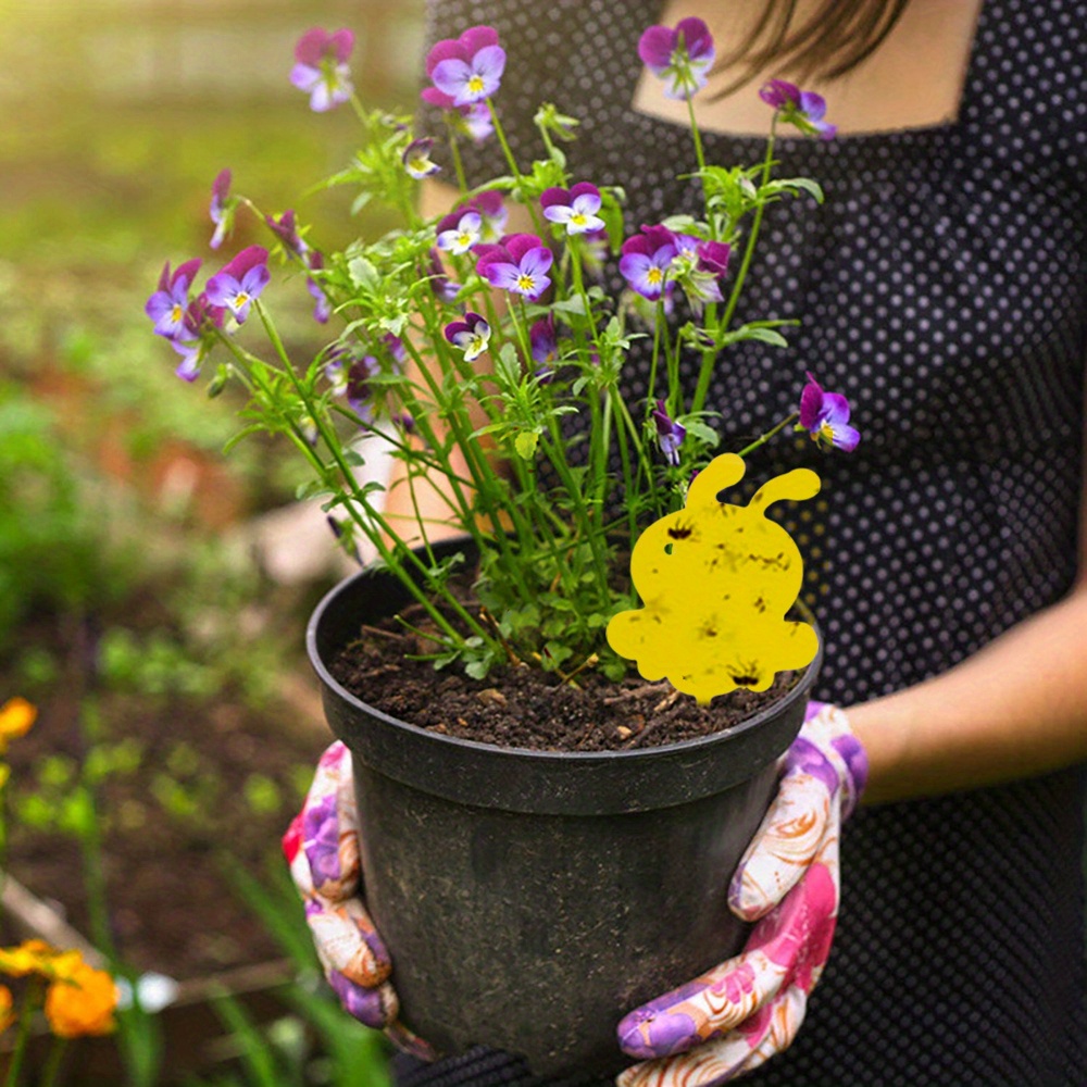 Plastic Yellow Sticky Fly Trap