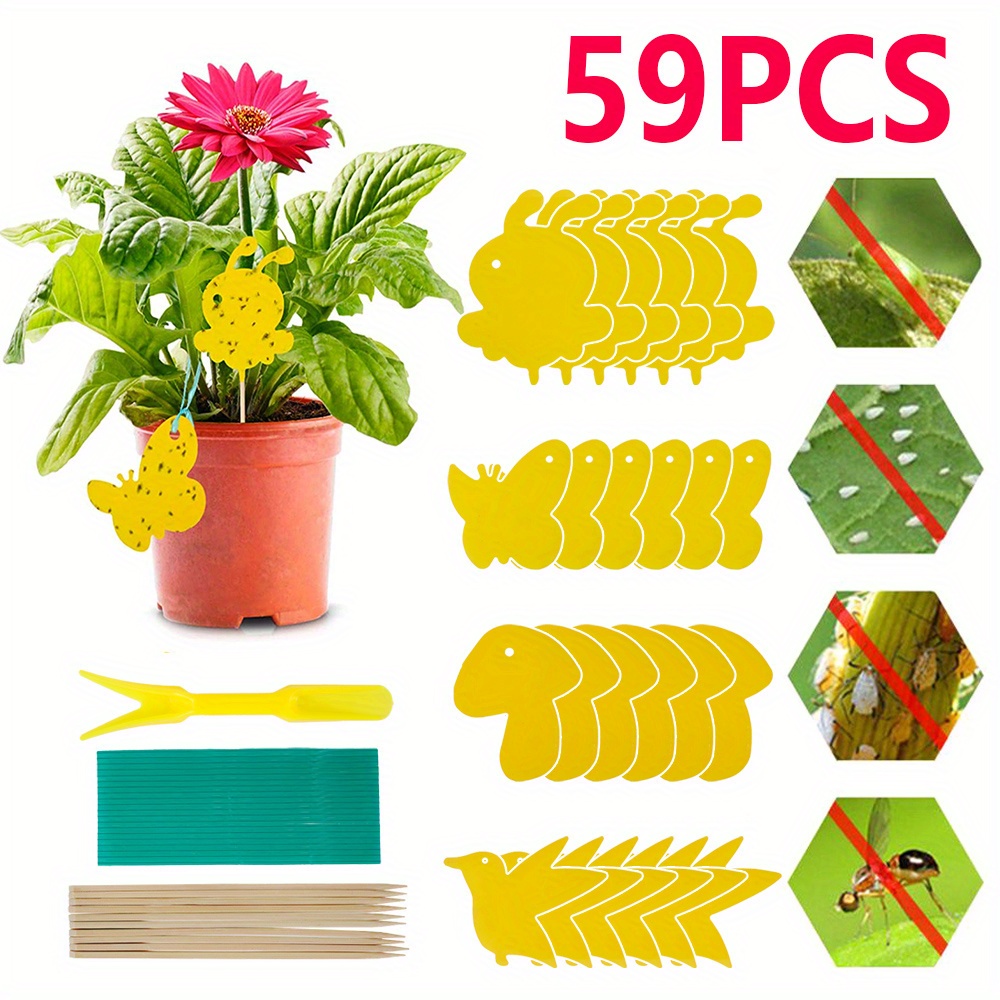 Hanging Fly Sticky Traps House Plant Sticky Stakes Fly Paper - Temu Japan