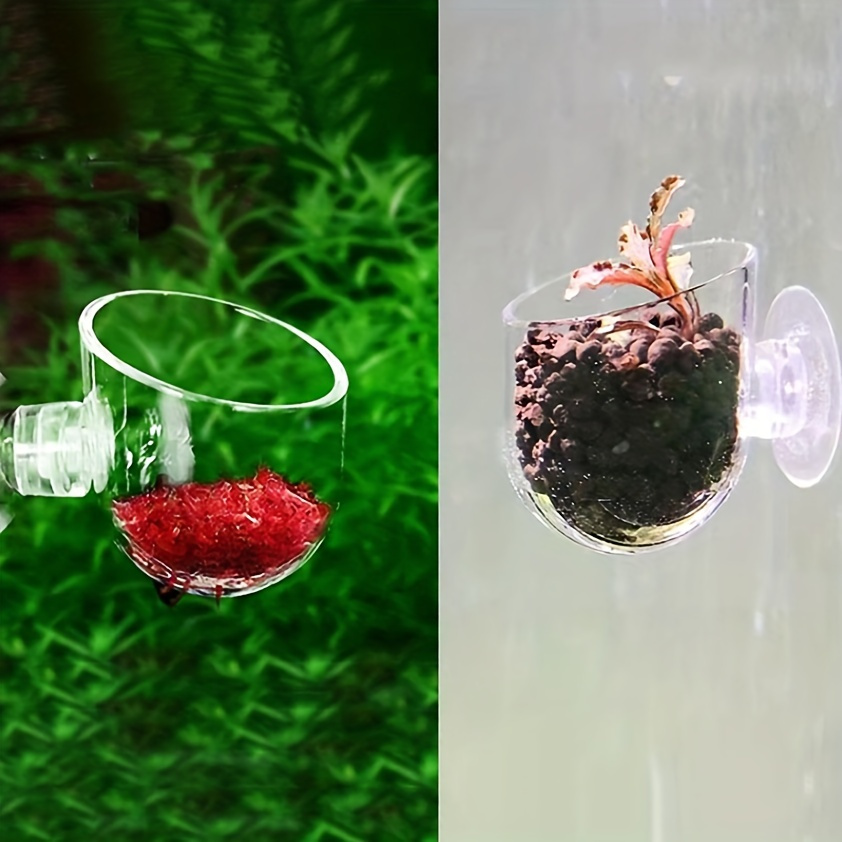 Aquarium Verre Alimentation Cône Tasse Plante Tasse Saumure