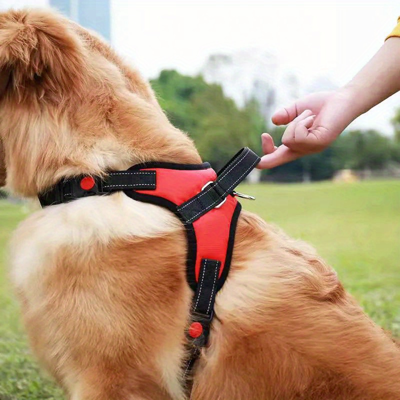 Dog harness outlet accessories