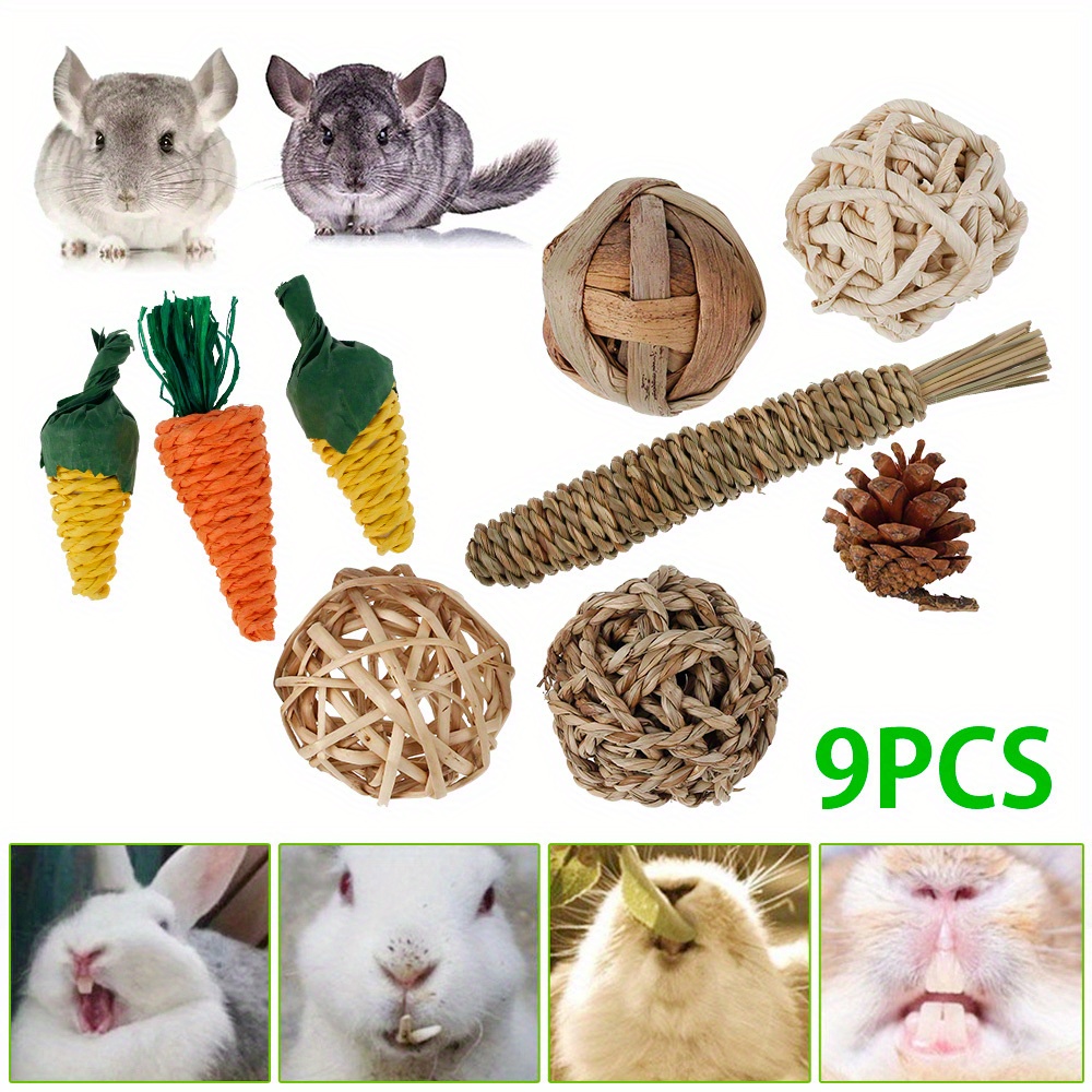 Juguetes masticables de conejo para dientes, 16 piezas de juguete natural  para masticar heno Timothy, mejora la salud dental para