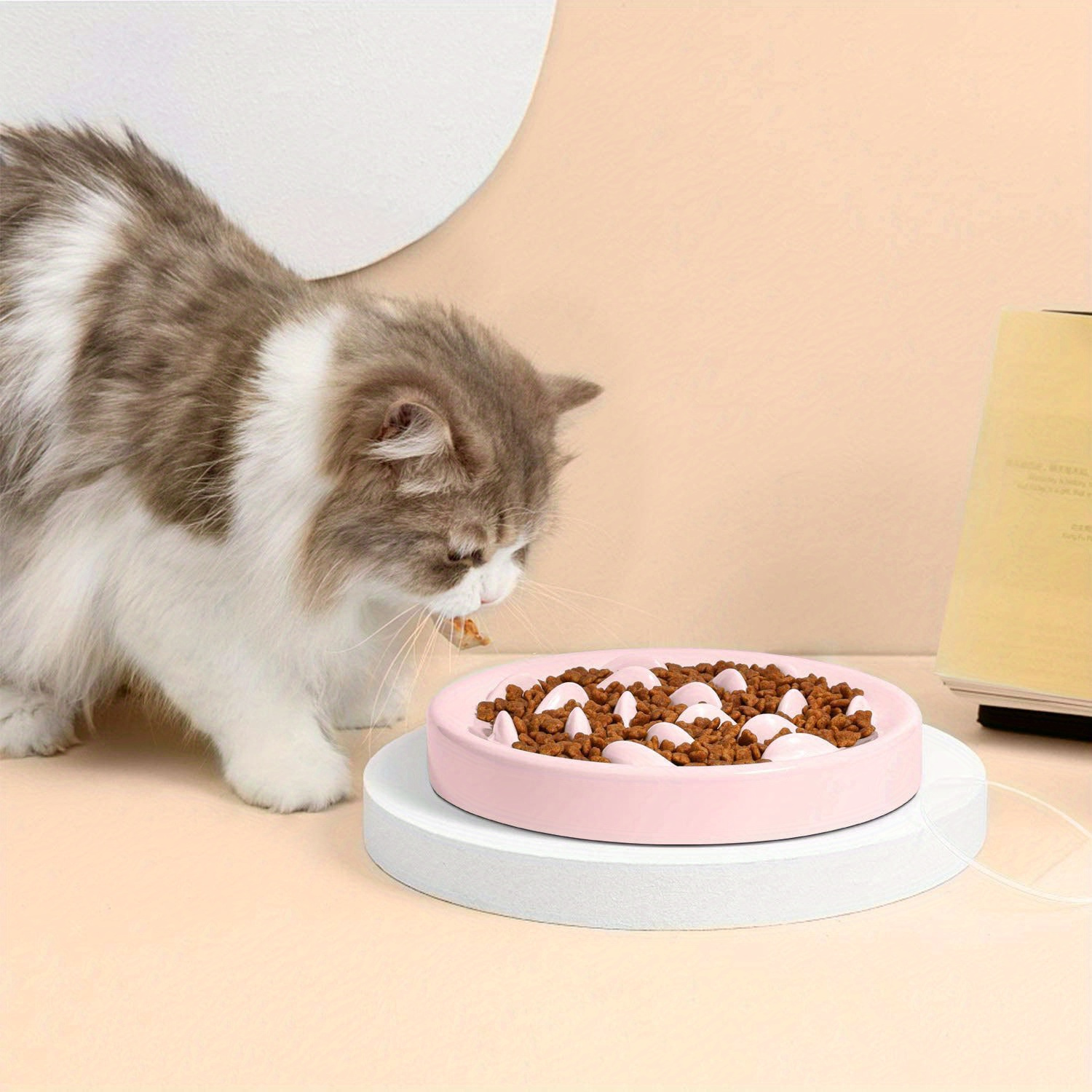 Pet Food Slow Feeder Lick Plate