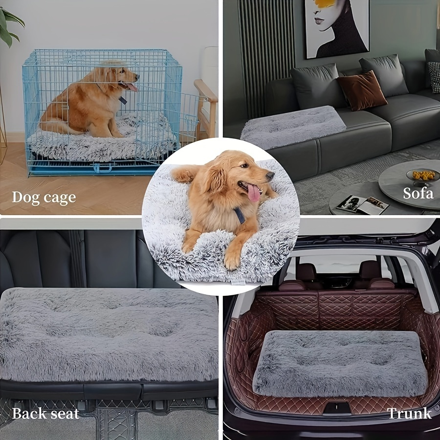 Canapé pour chien