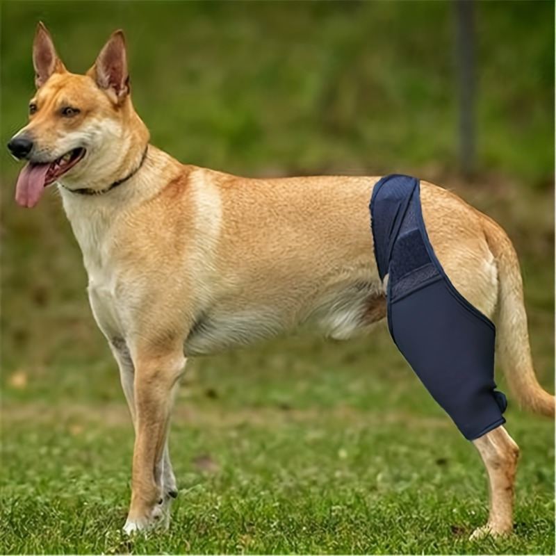 Dog Leg Support Brace Adjustable Rear Leg Brace Dog Thigh - Temu