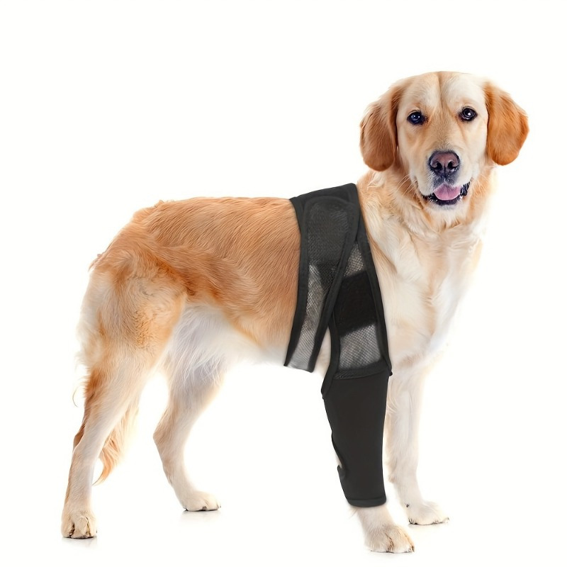Dog Leg Support Brace Adjustable Rear Leg Brace Dog Thigh - Temu