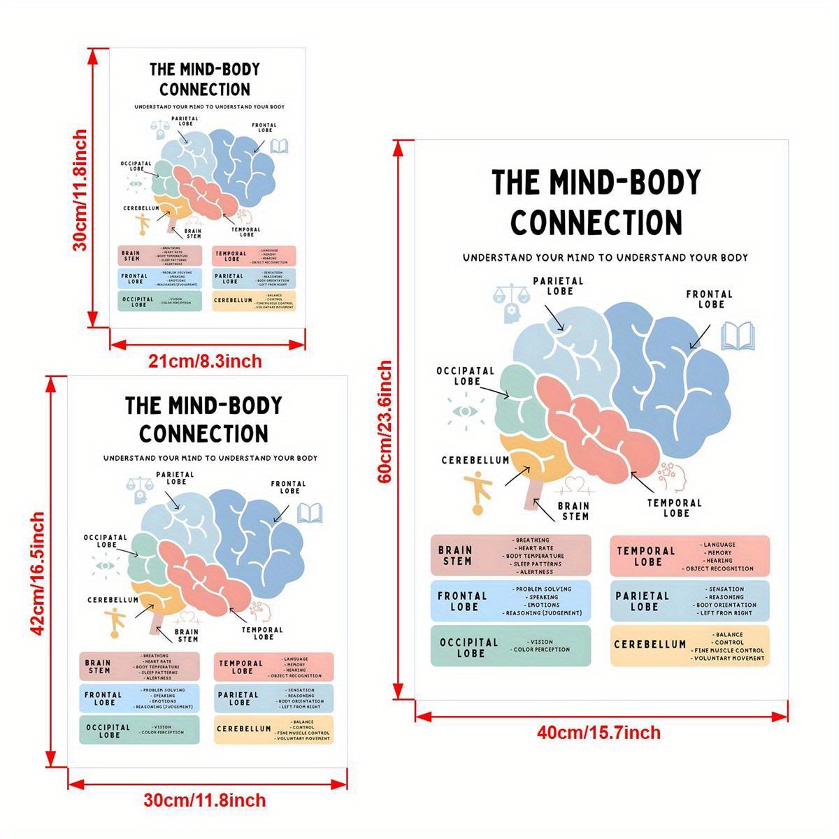 Mind body Connection Picture Brain Structure Canvas Wall Art - Temu Canada