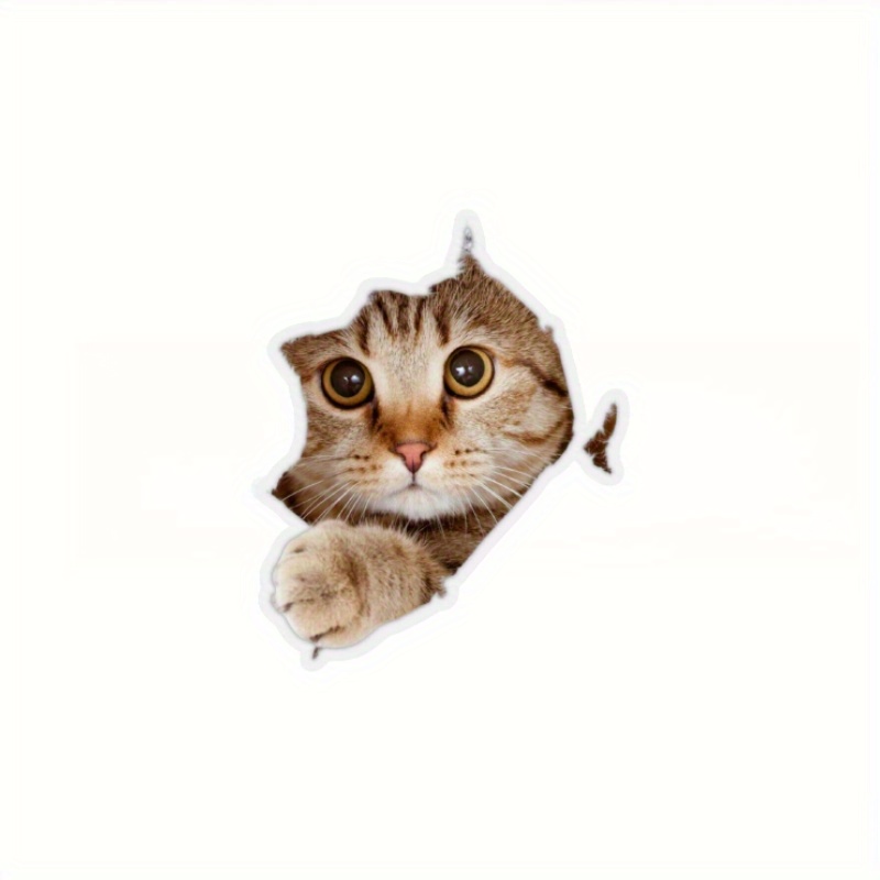 5PCS Car Body Sticker Cat Wall Decals 3D Cute Cat Stickers For