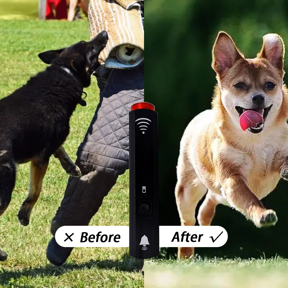 Perros Con Dispositivo Anti Ladridos - Temu