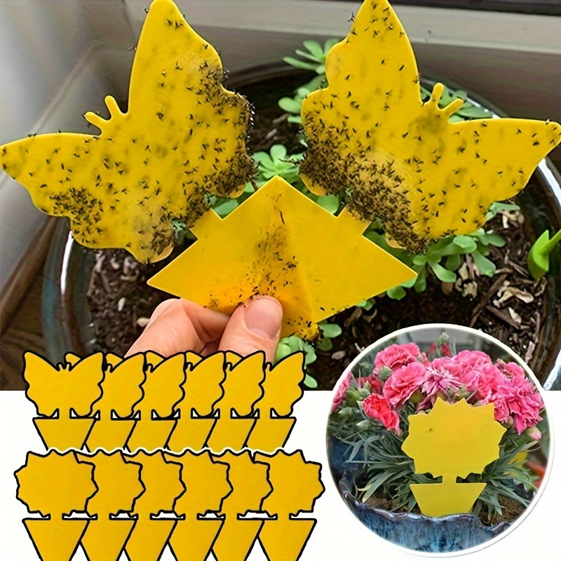 Yellow Double sided Greenhouse Sticky Traps Bugs Sticky - Temu