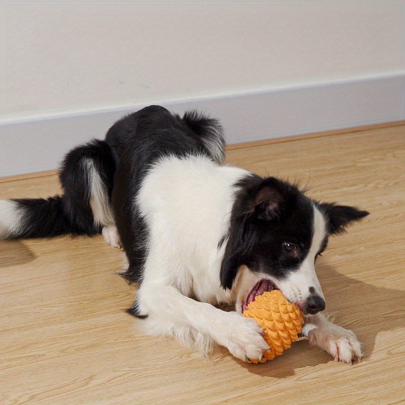 Treat Dispensing Dog Toy - Pine Cones