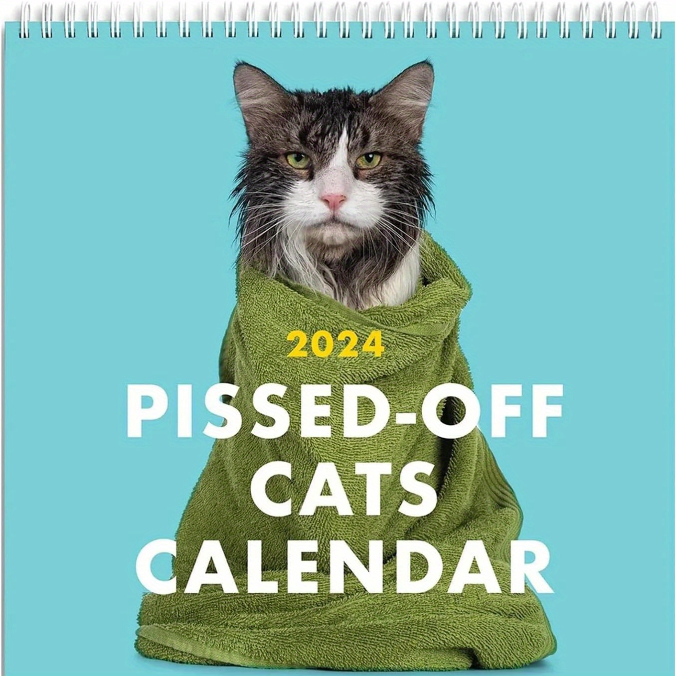 2024 Pissed off Cats Calendar Funny Cat Wall Calendar Cute Temu