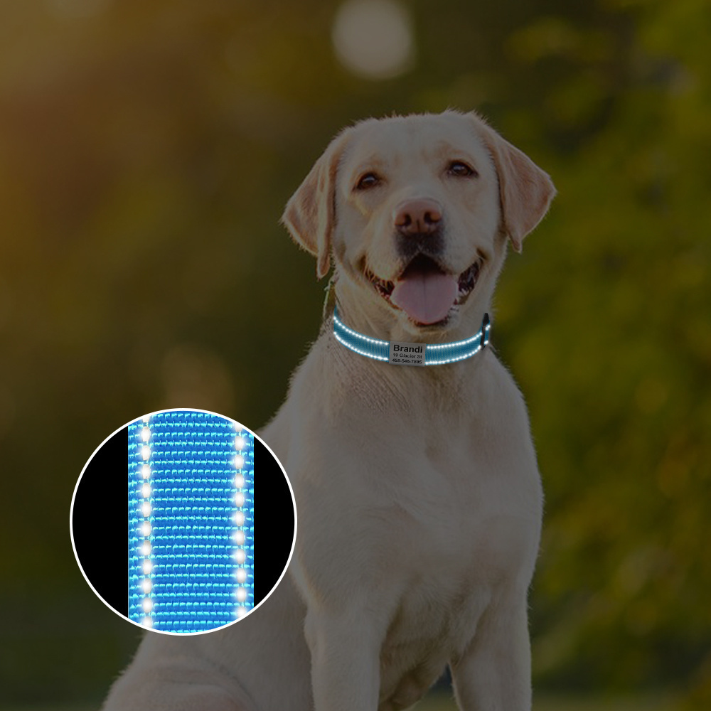 Personalized Reflective Dog Collar and Leash Set with Safety Locking Buckle