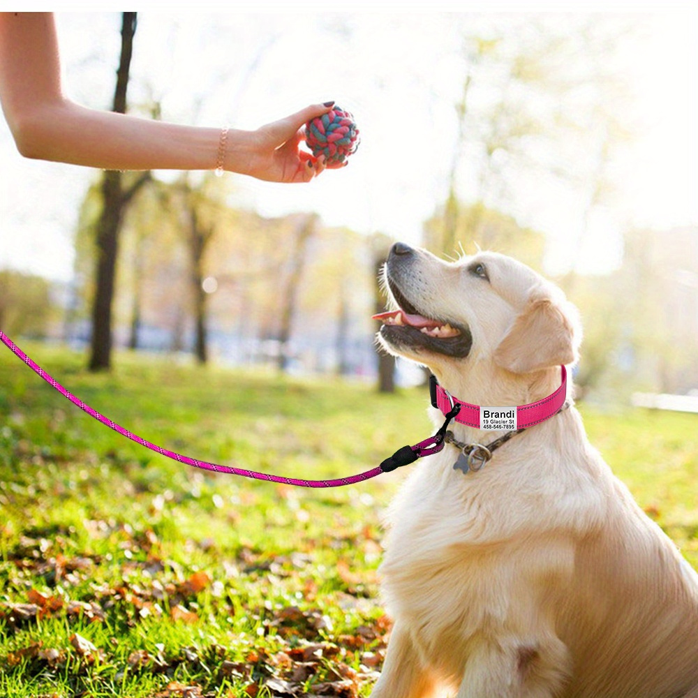 Personalized Reflective Dog Collar and Leash Set with Safety Locking Buckle