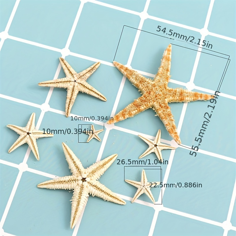 Seashell Starfish Craft