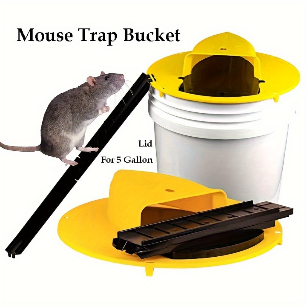 Rat trap, Bucket trap