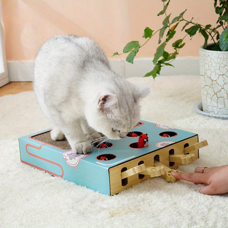 Brinquedo Interativo para gato 3 em 1 em madeira