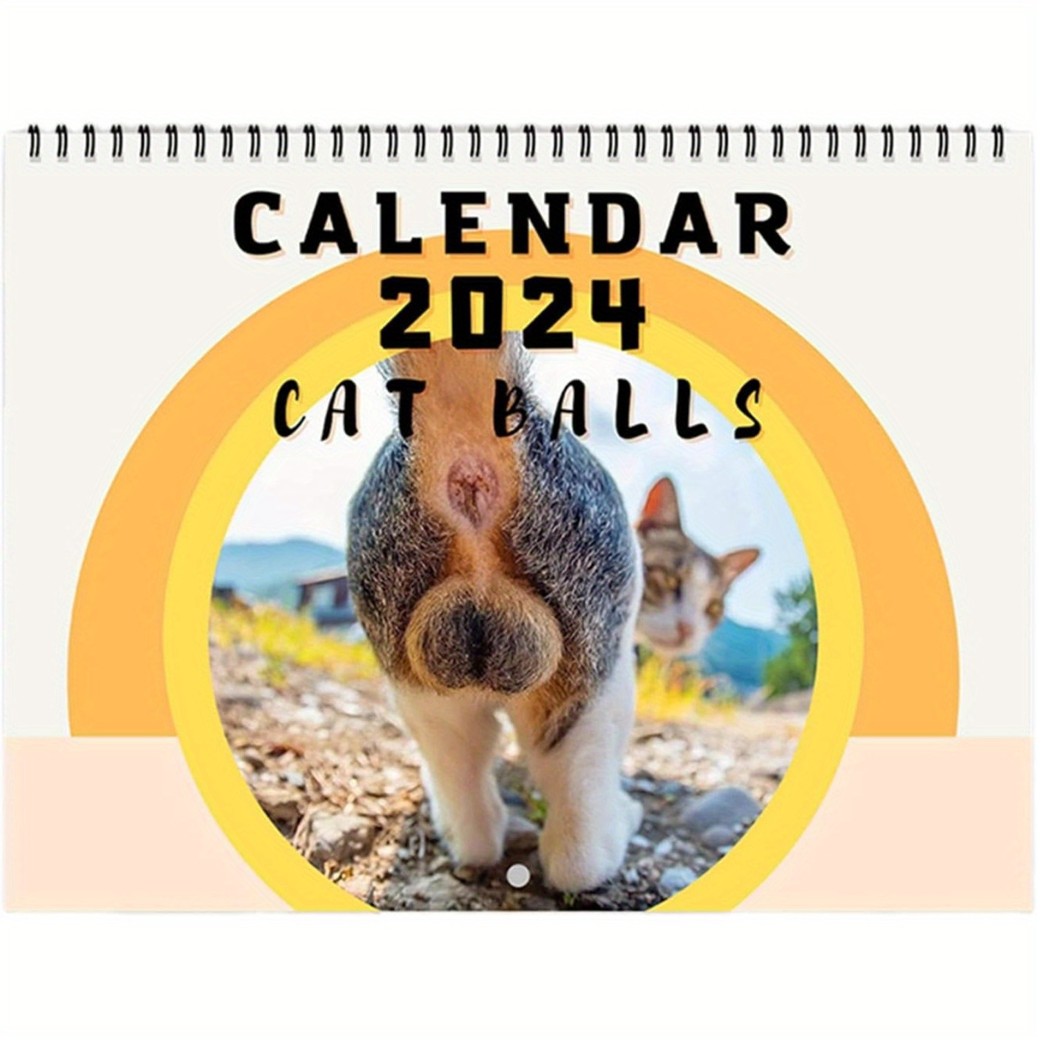 LBS 2024 Snarky Cats Calendar Snarky Cat Wall Hanging Calendar Fun