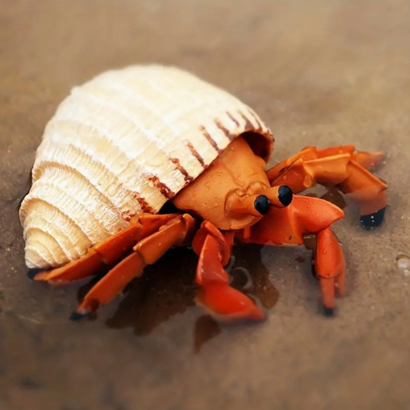 Warmtree Simulated Animals Figurines Realistic Model Plastic Animals Figure  (Hermit Crab)