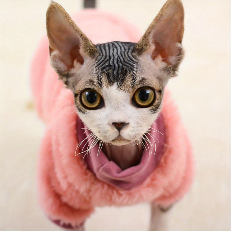 Sphynx cat sale jacket