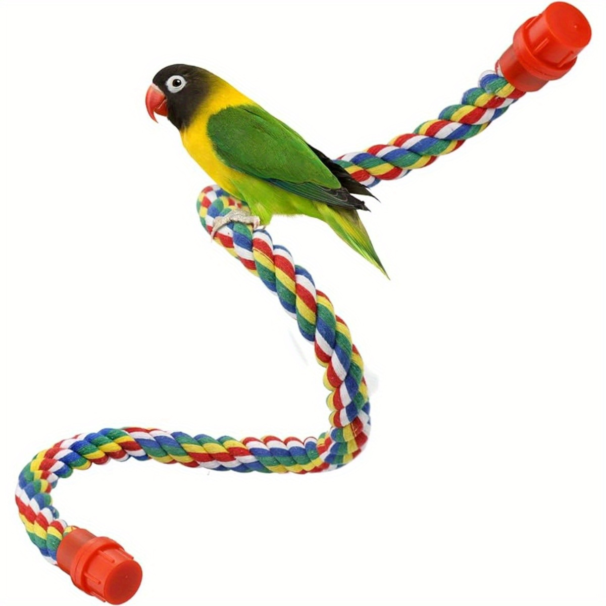 Rope perches hotsell for budgies