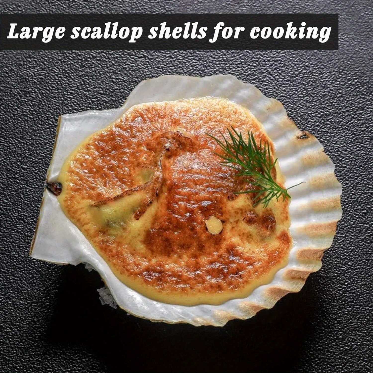  Miraclekoo 8 Pcs Large Scallop Shells for Crafts,4-5 Inches  Baking Shells Natural Large Sea Shells White Scallops for Wedding Decor  Crafts DIY Painting : Home & Kitchen