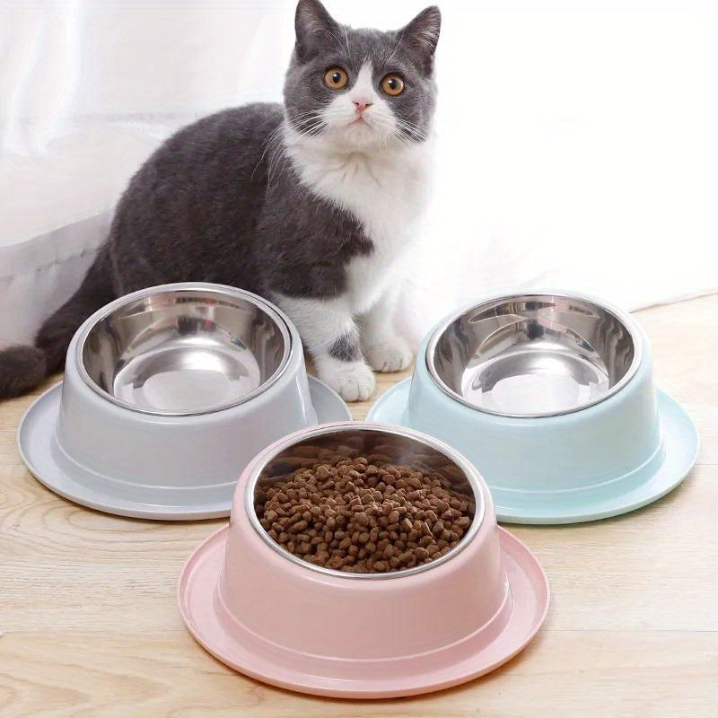 Elevated Cat Feeder Bowl With Stand Raised Stainless Steel - Temu