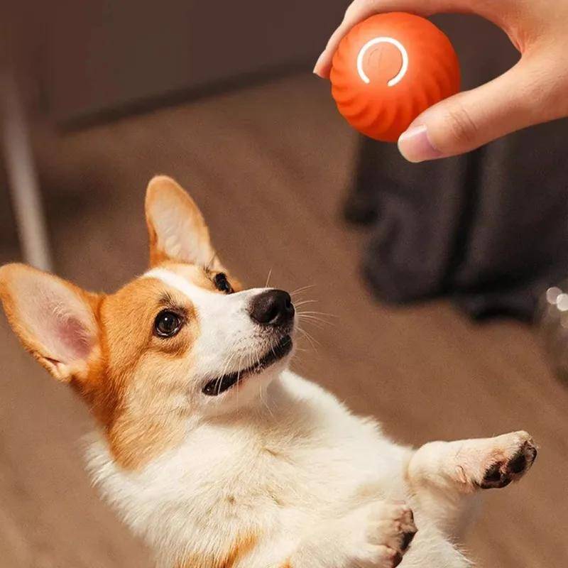 artifact intelligent pet cat toys, smart electric ball toy gravity jump balls dog plaything usb charging automatic teasing dogs artifact intelligent pet cat toys details 3