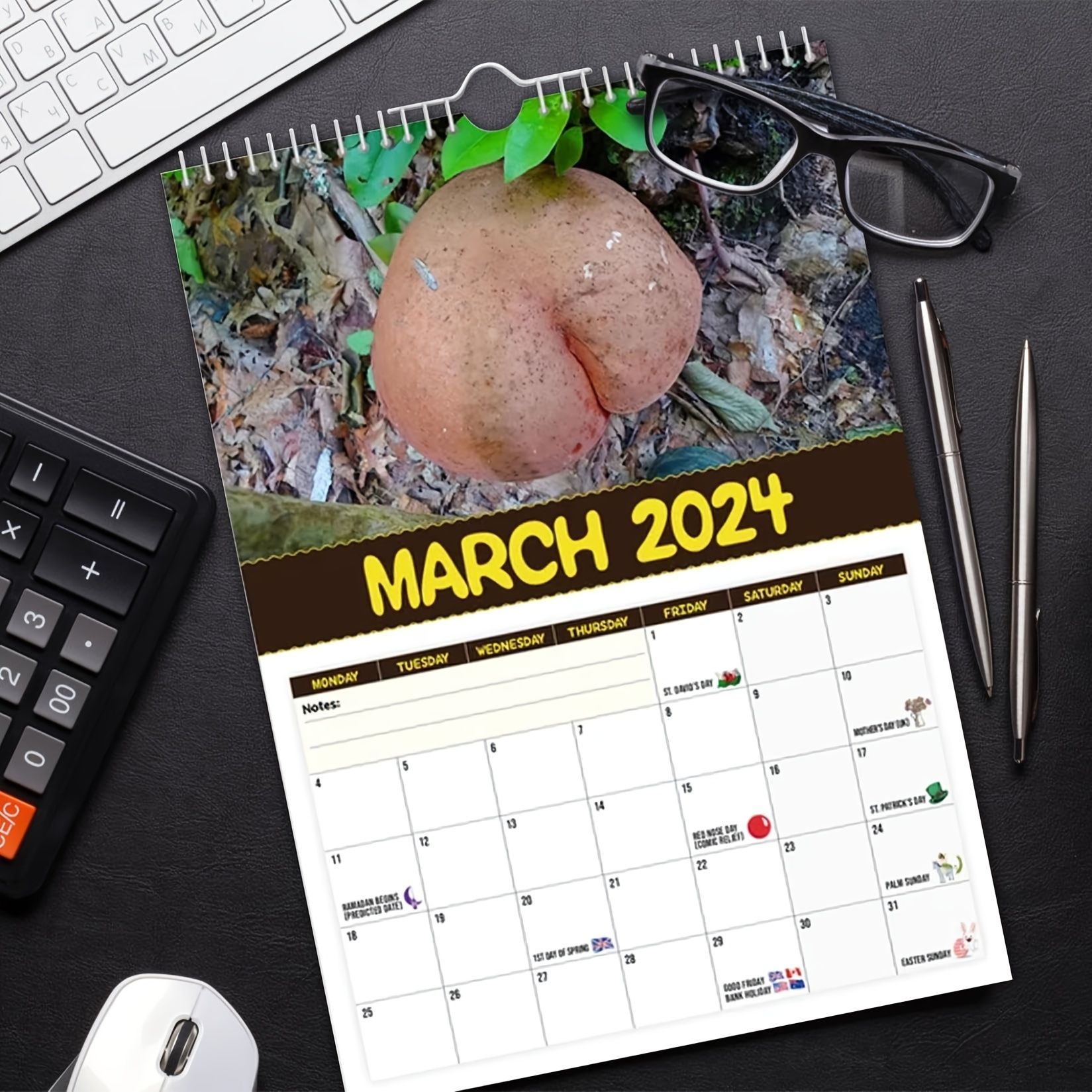 1pc Le Plus Grand Champignon Du Monde 2024 Calendrier - Temu Belgium