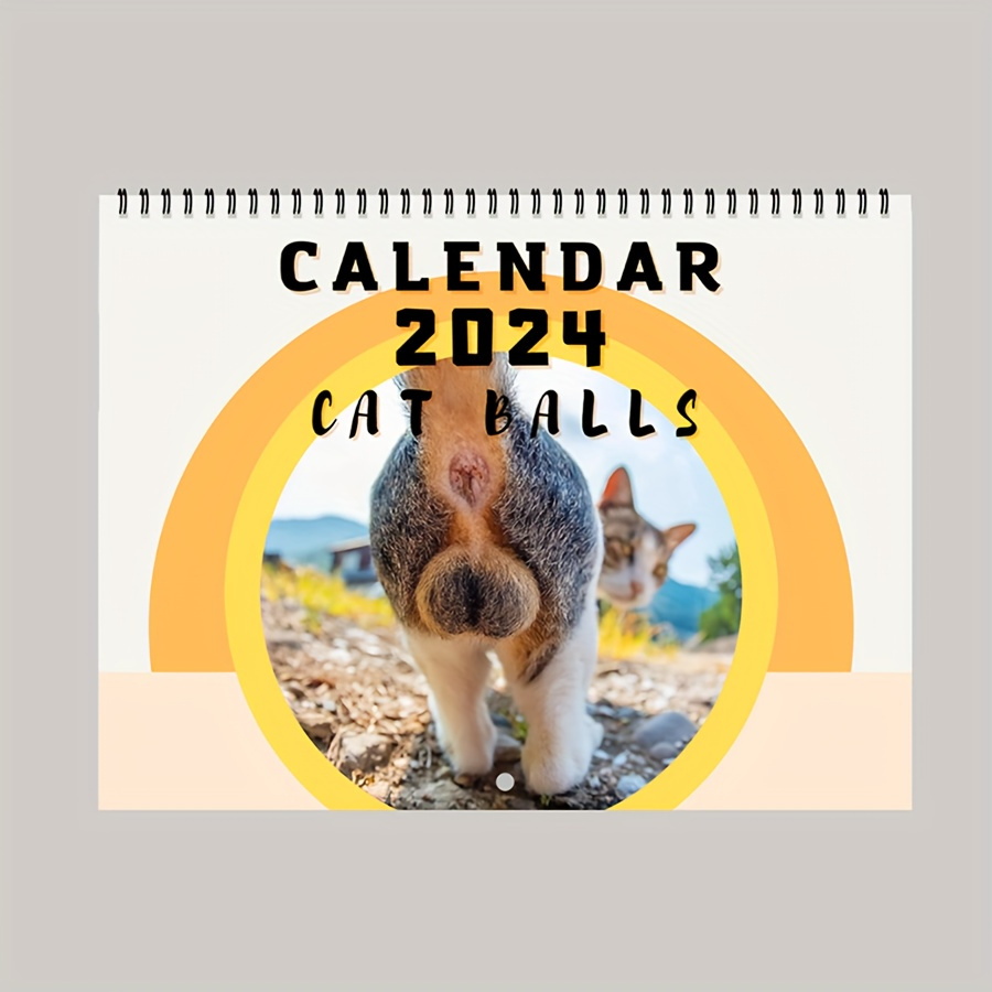 2024 Weird Medieval Cats Wall Calendar Funny New Year Monthly