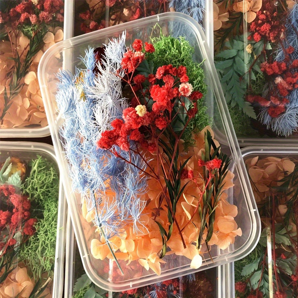 1 Box Random Real Dried Flower Resin Mold Fillings UV Expoxy