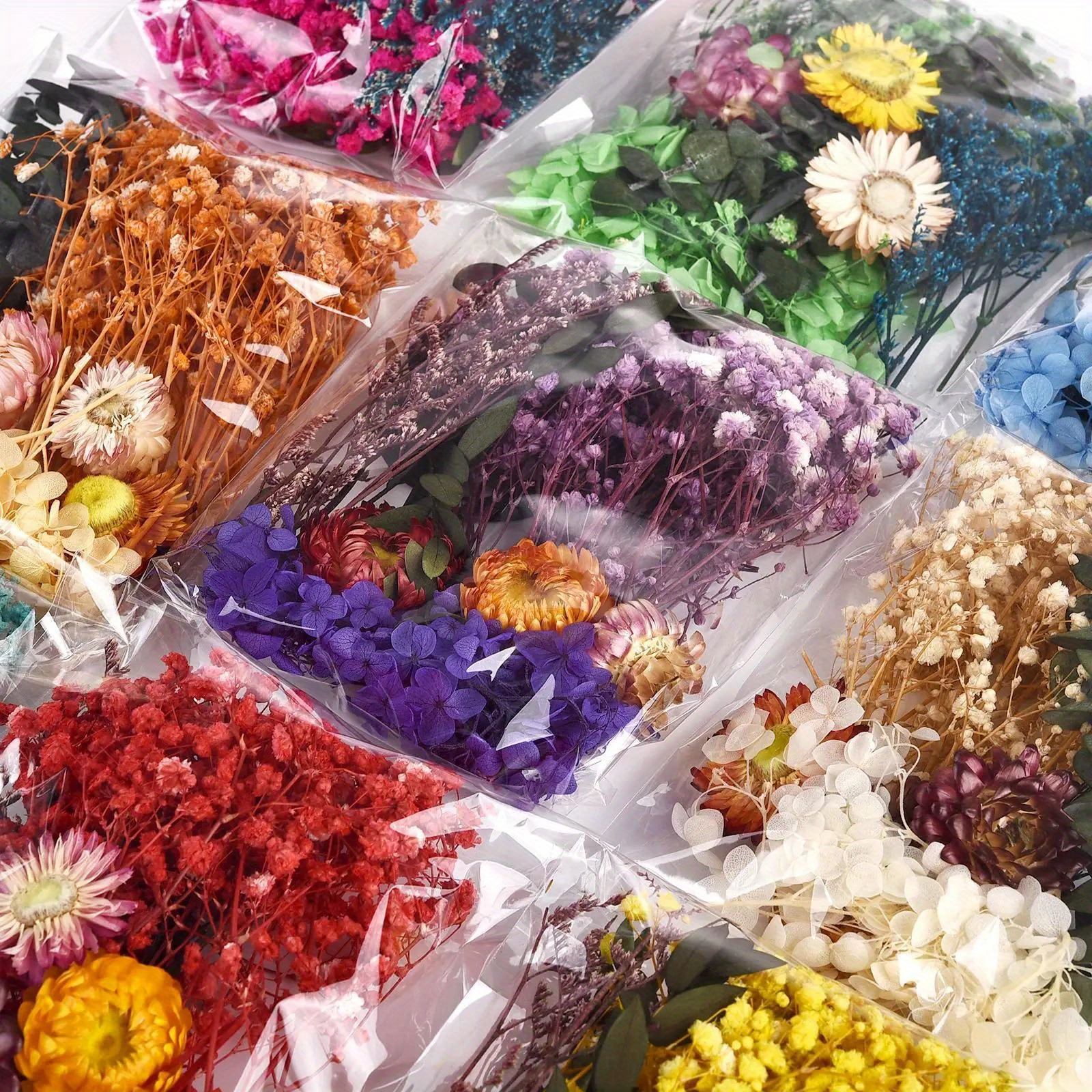 Colorful Natural Dried Flowers For Epoxy Resin Handmade - Temu