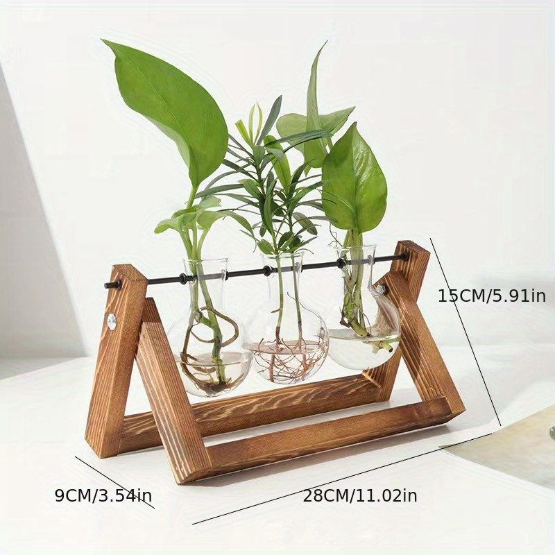 1pc Terrarium De Plantes Avec Support En Bois Air Planter Ampoule Vase En  Verre - Temu Belgium