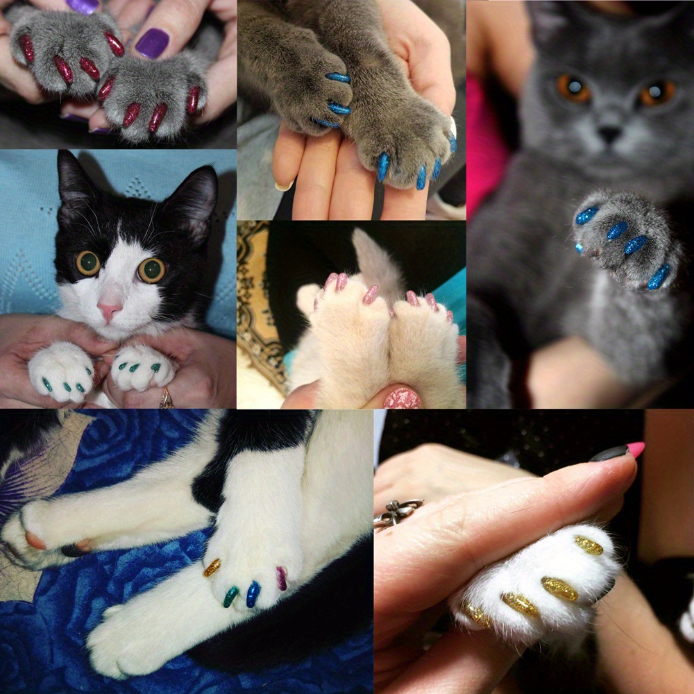 Cat Nail Cat Claw Covers With Glue And Applicators - Temu