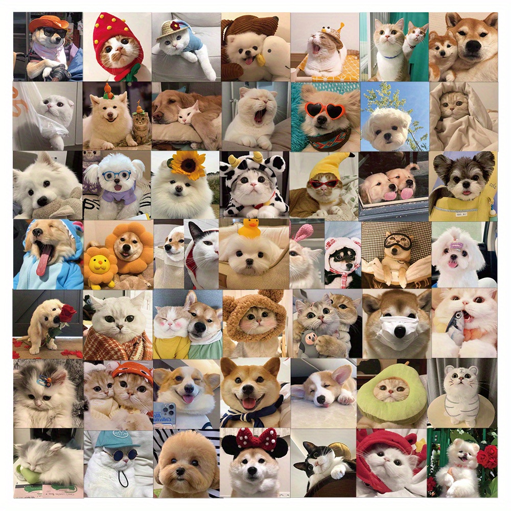 200 Stück Lustige Katzen- Und Hunde-aufkleber, Tiere, Meme