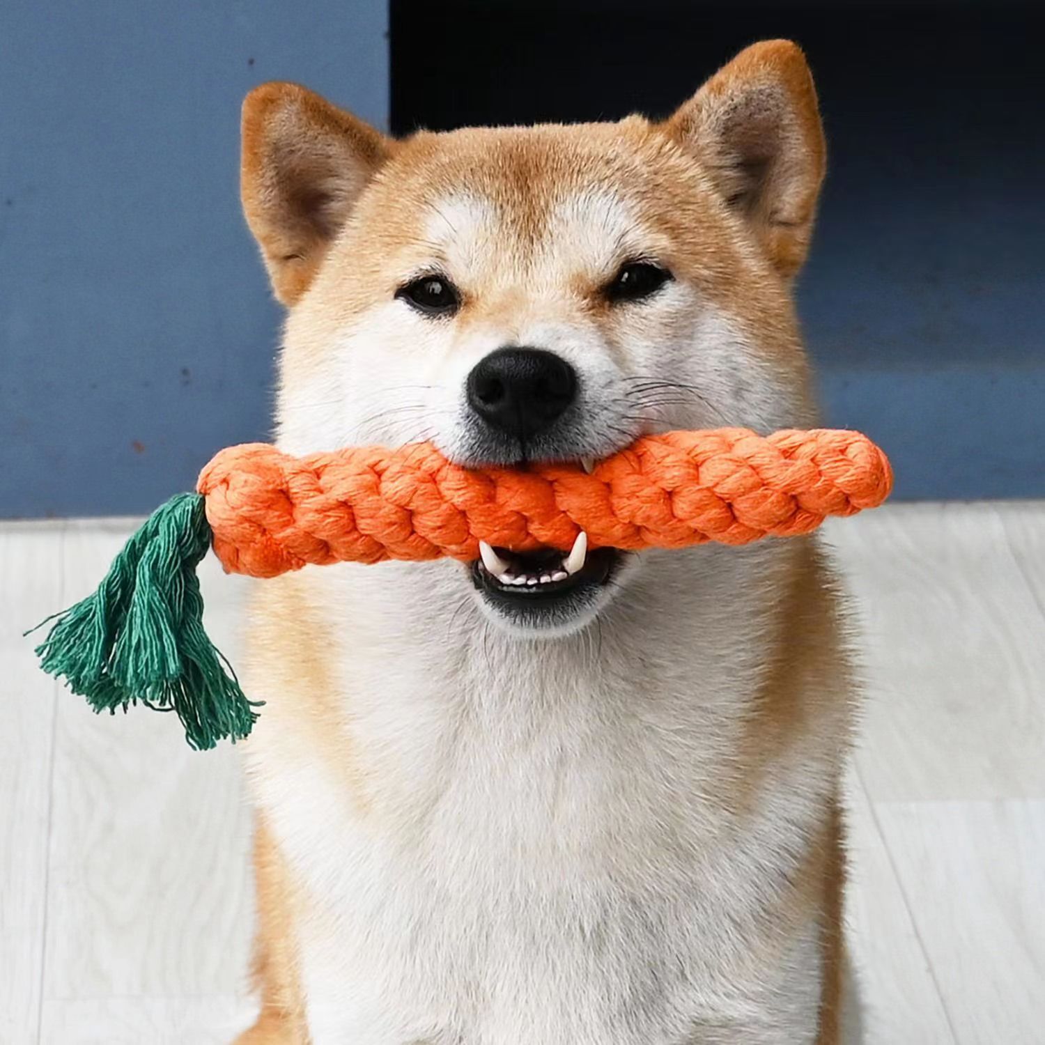 Chew Rope Dog Toy - Carrot