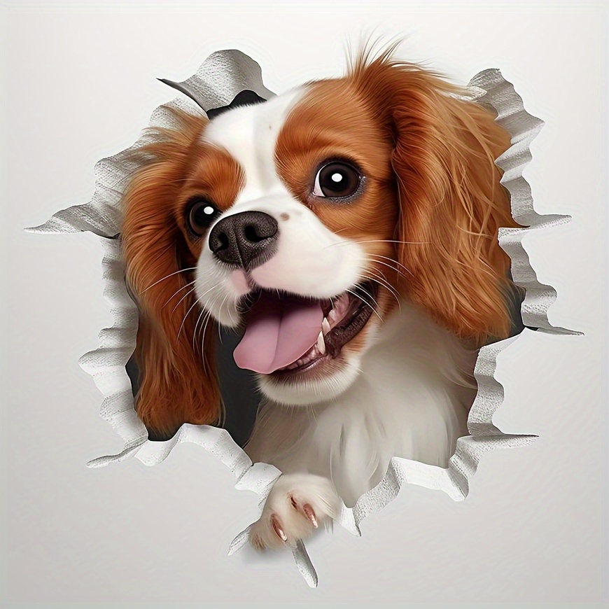 Funny king charles sales cavalier pictures