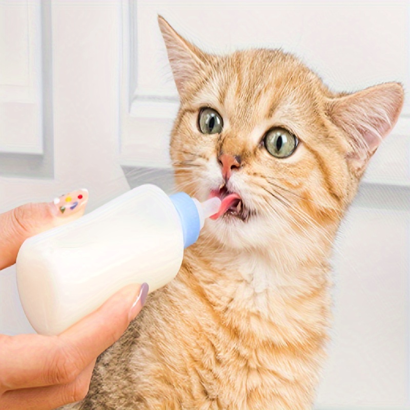 Kitten 2024 milk bottle