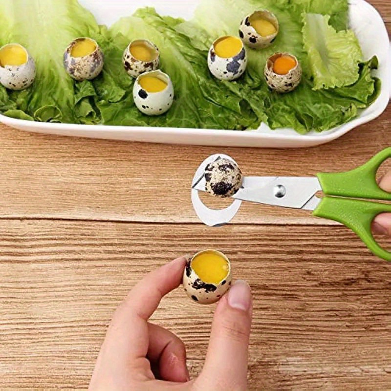 Eggshell Cutting Scissors Perfect Quail Bird Eggs Easy Use - Temu