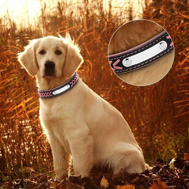 Tryfi dog outlet collar