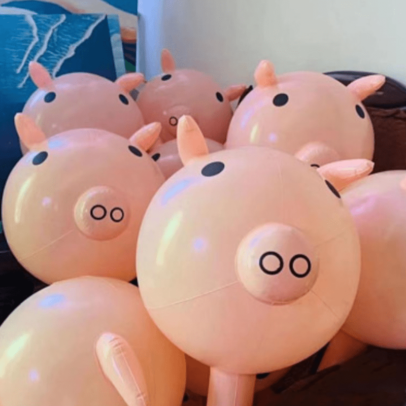 BALLON COCHON