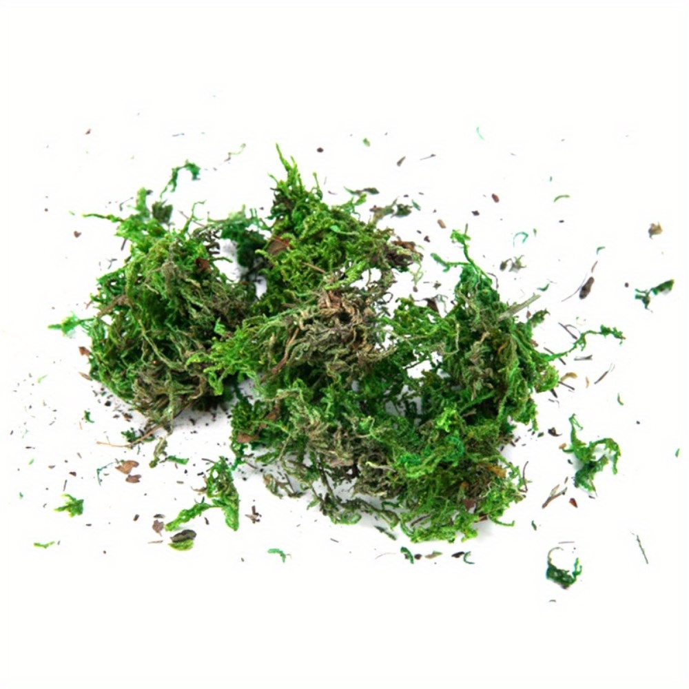 Forest Green Artificial Moss Perfect Fairy Gardens - Temu New Zealand