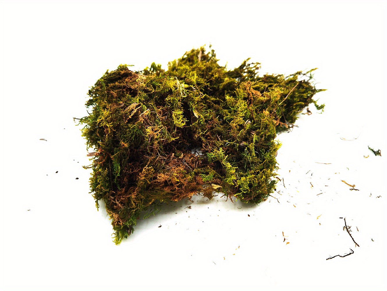 Forest Green Artificial Moss Perfect For Fairy - Temu Mexico