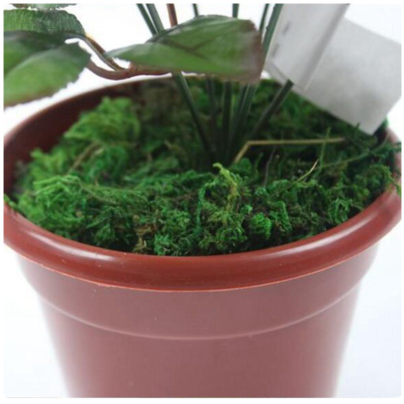 Forest Green Artificial Moss Perfect Fairy Gardens - Temu New Zealand