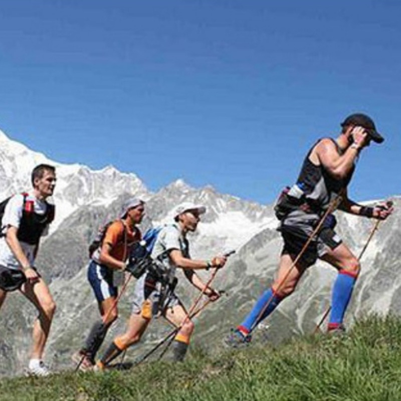 Aluminum Alloy 3 Section Shock-Absorbing Hiking Stick