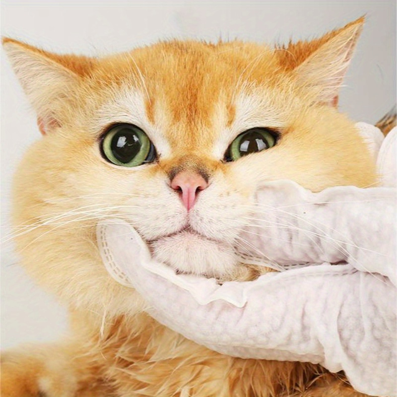 Cat fur outlet cleaning wipes