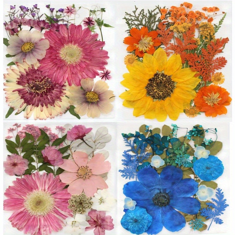 Dried Pressed Flowers for Resin Dry Leaves Bulk for Scrapbooking